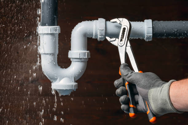Professional Plumbing technician working in Bassett, WI